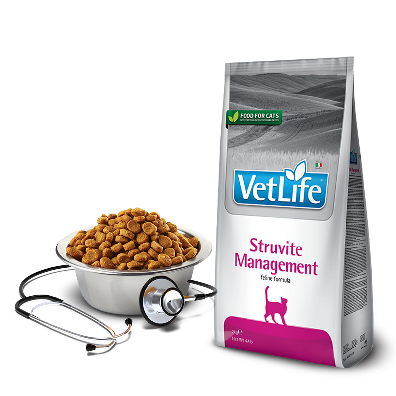 Vet life struvite купить