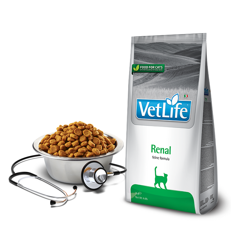 Farmina vet Life renal. Farmina vet Life Cat hepatic. Farmina vet Life renal диета при заболеваниях почек у кошек 400 гр. Farmina vet Life obesity консервы расчет таблица. Farmina vet life для кошек купить