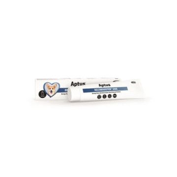 Aptus RECOBOOSTER DOG pasta 100 g Aptus - 1