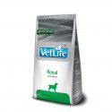 Farmina Vet Life dog Renal 12 Kg