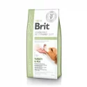 Brit Veterinary Diets GF dog Diabetes 12 kg