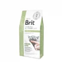 Brit Veterinary Diets GF cat Diabetes 2 kg