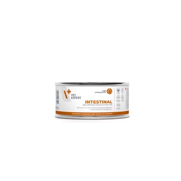 VetExpert VD cat 4T Intestinal konzerva 100 g VetExpert - 1